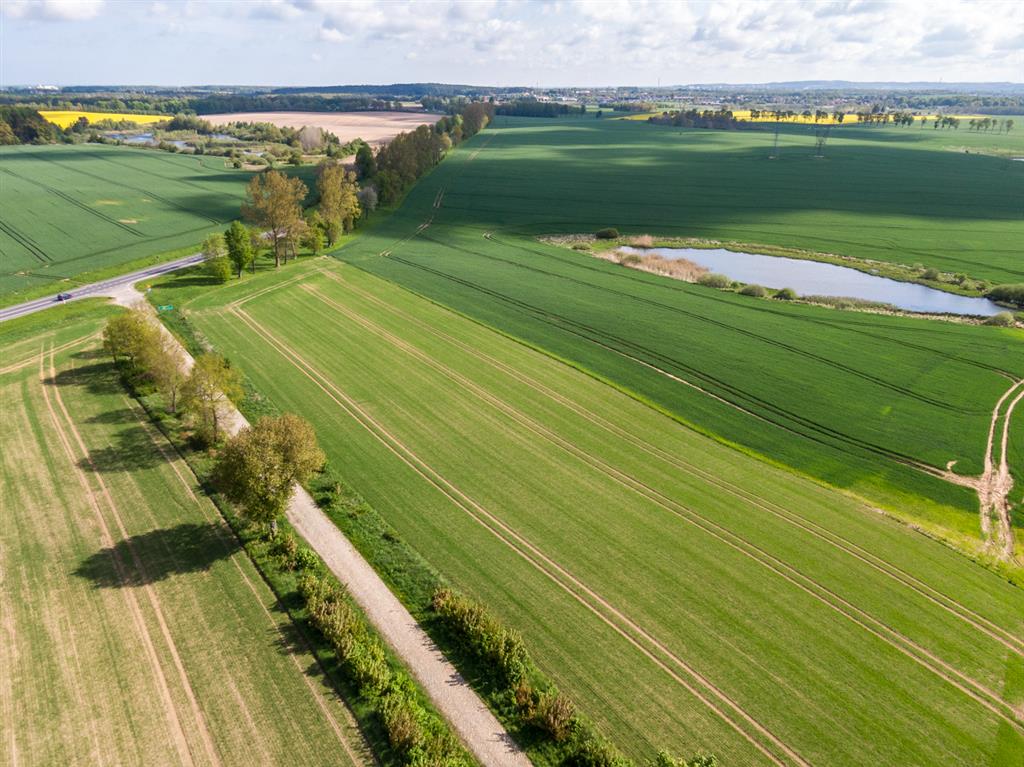 210 0 12391443 2 81 - Strona gł&oacute;wna