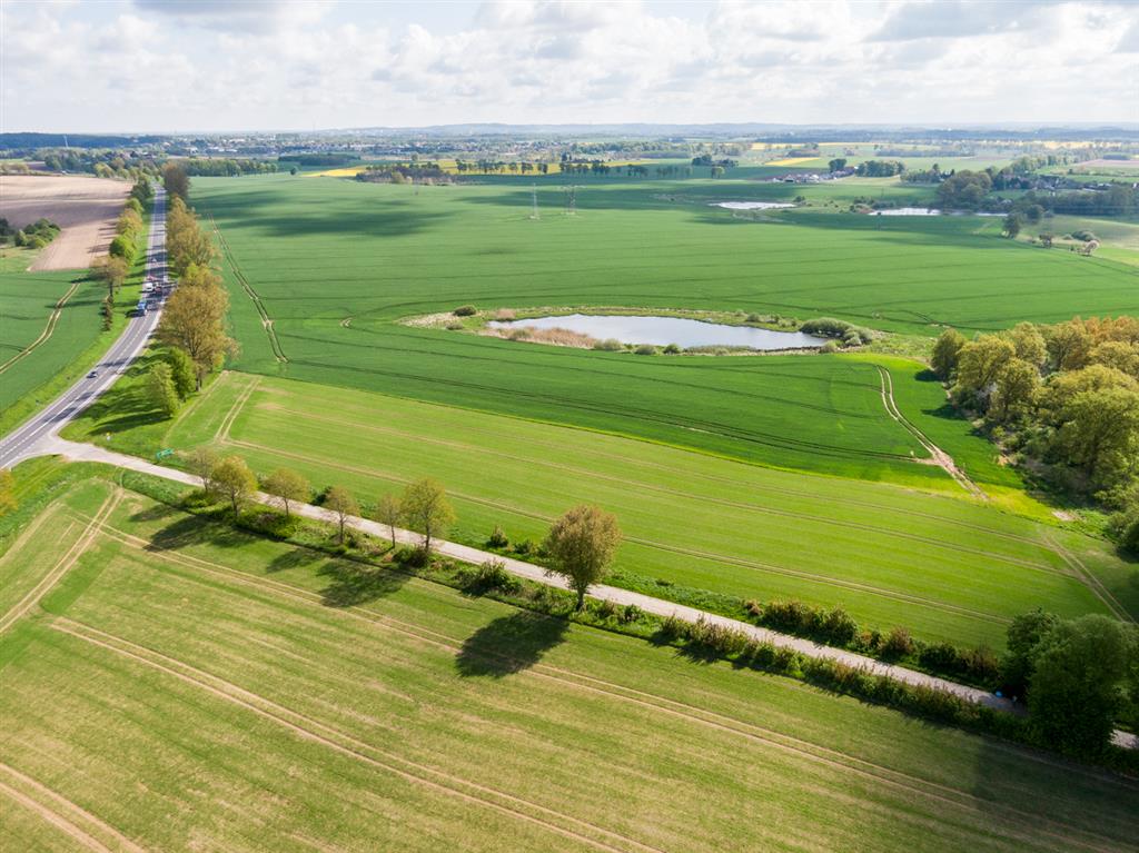 210 0 12391444 2 81 - Strona gł&oacute;wna