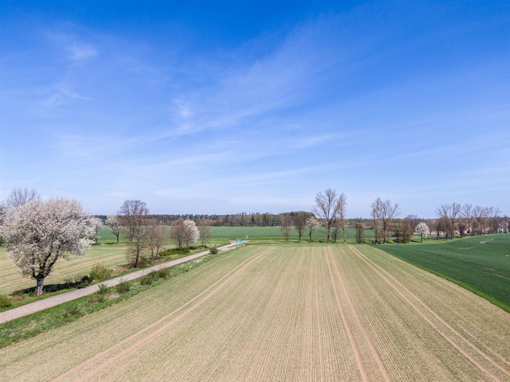 210 0 12391445 2 81 - Strona gł&oacute;wna