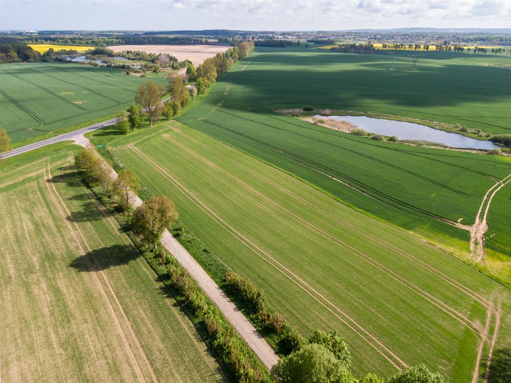 210 0 12391447 2 81 - Strona gł&oacute;wna