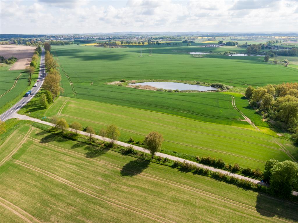 210 0 12391448 2 81 - Strona gł&oacute;wna