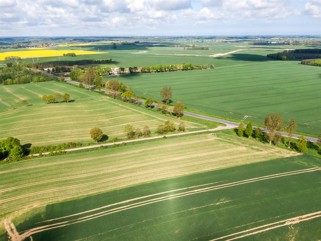 210 0 12391449 2 81 - Strona gł&oacute;wna