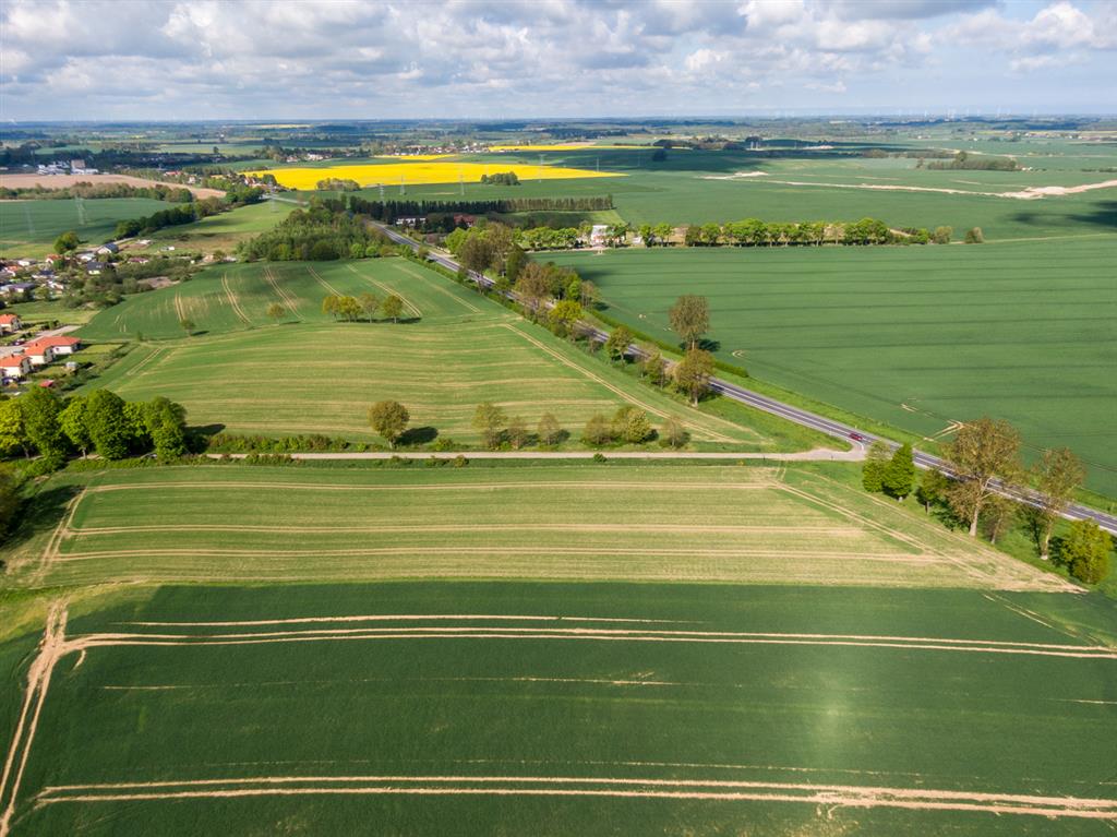 210 0 12391450 2 81 - Strona gł&oacute;wna