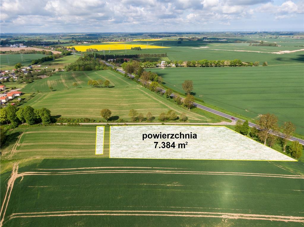 210 0 12391477 1 81 - Strona gł&oacute;wna