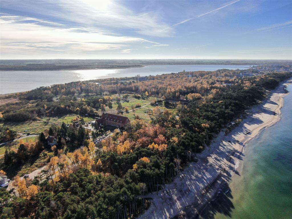 210 0 12397753 1 28 - Strona gł&oacute;wna