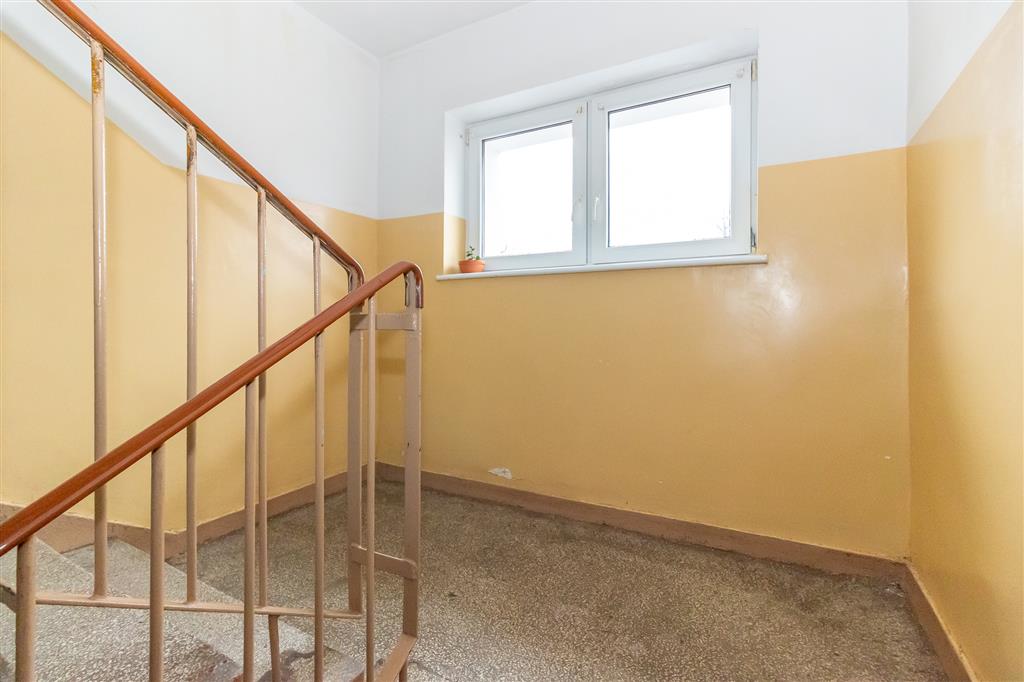 210 0 12402295 0 99 - Strona gł&oacute;wna