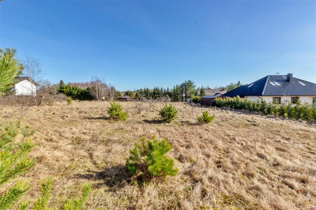 210 0 12414136 7 132 - Lista ofert