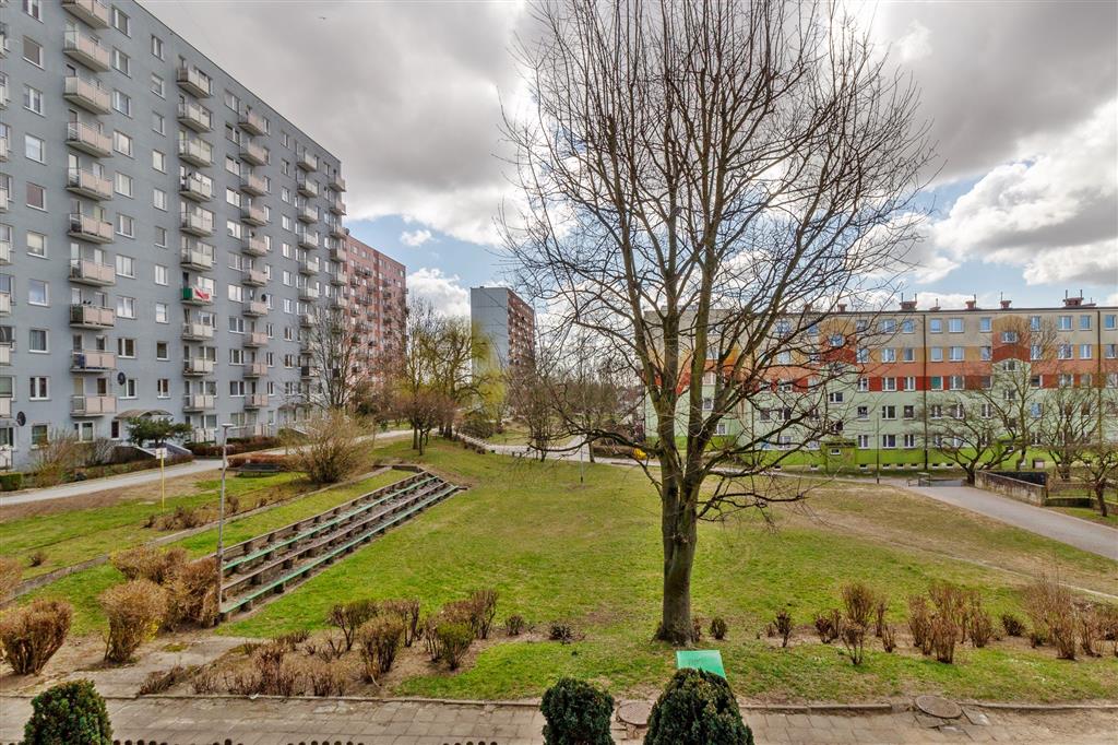 210 0 12423843 4 121 - Strona gł&oacute;wna