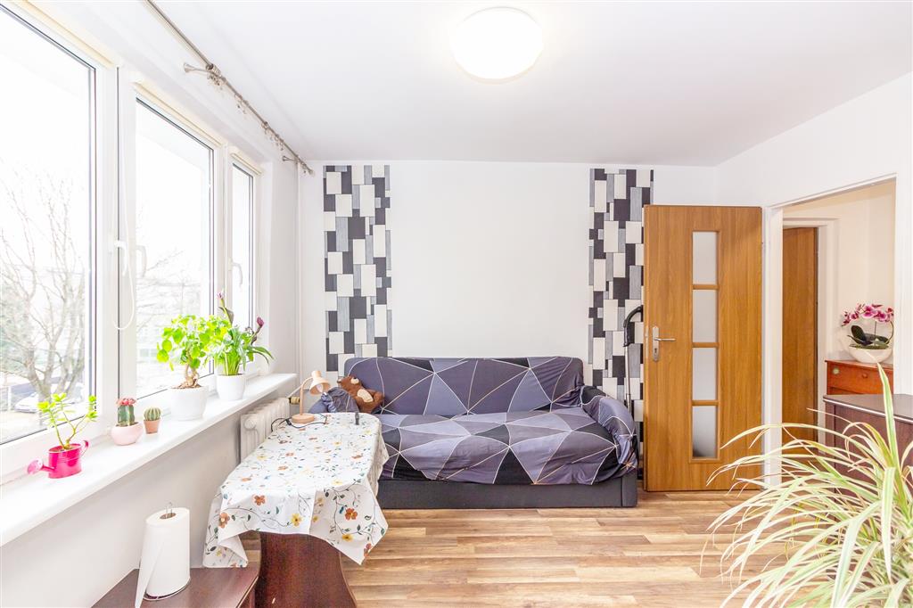 210 0 12423918 0 108 - Strona gł&oacute;wna