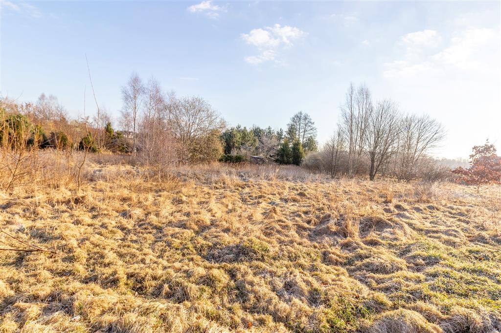 210 0 12430063 0 106 - Lista ofert