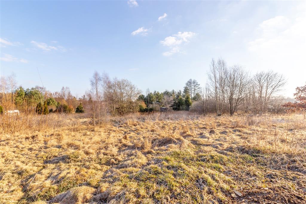 210 0 12430064 0 106 - Lista ofert