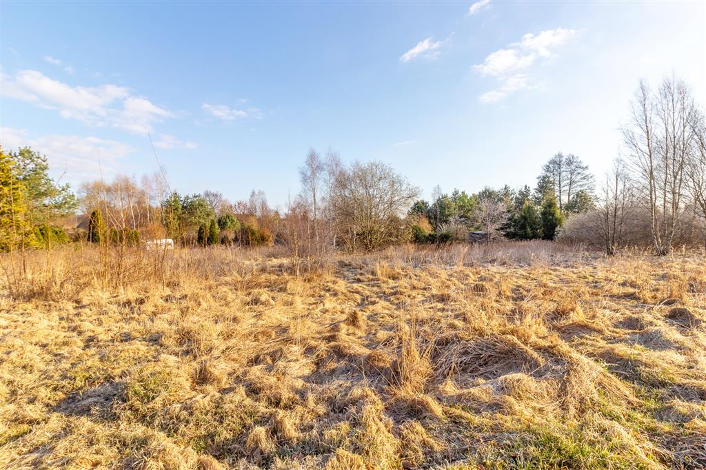 210 0 12430065 6 133 - Lista ofert