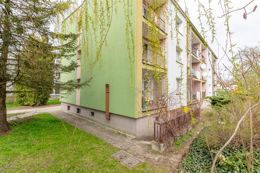 210 0 12436816 0 33 - Lista ofert