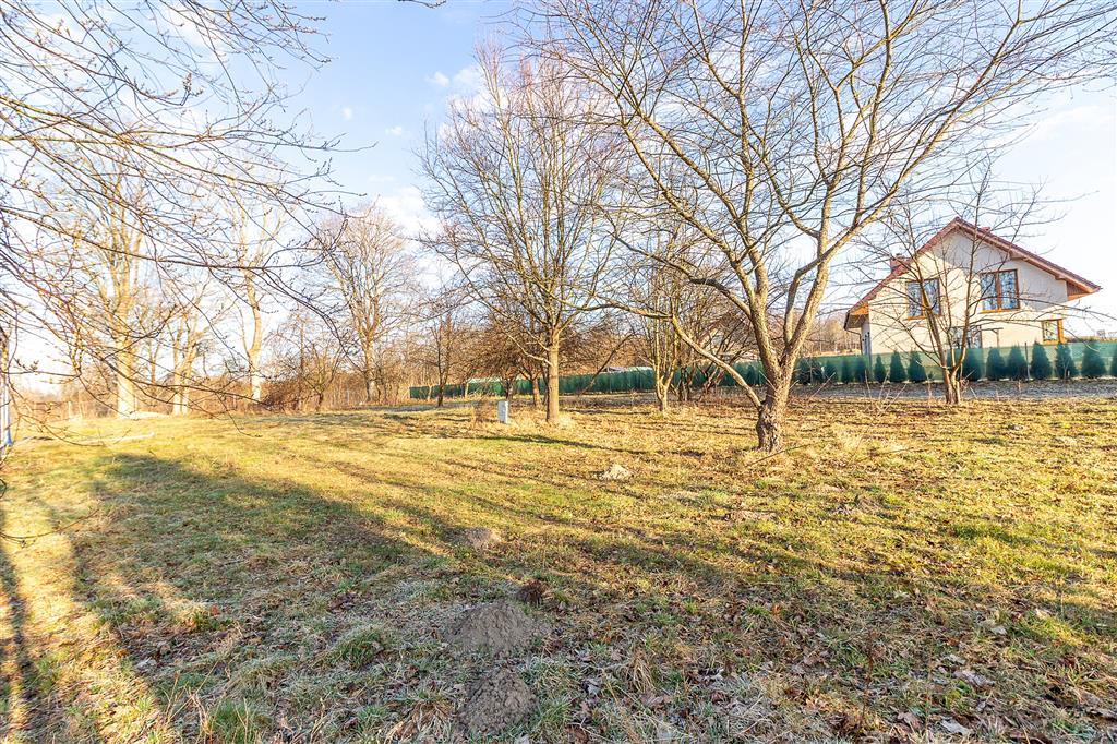 210 0 12439733 7 77 - Strona gł&oacute;wna