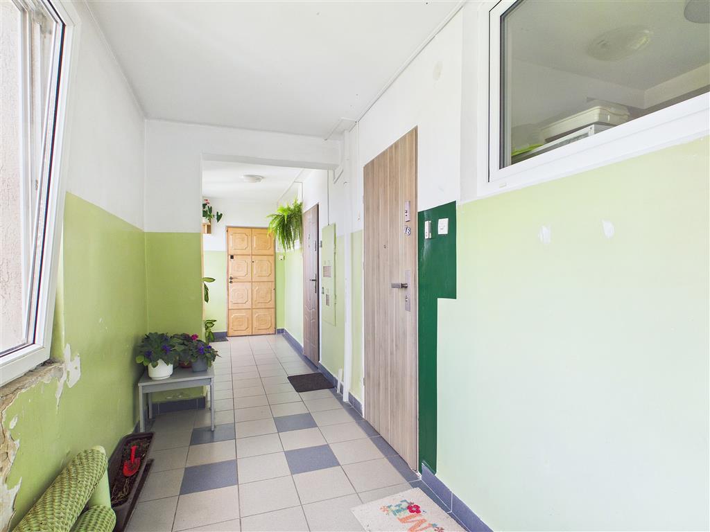 210 0 12501738 0 125 - Strona gł&oacute;wna