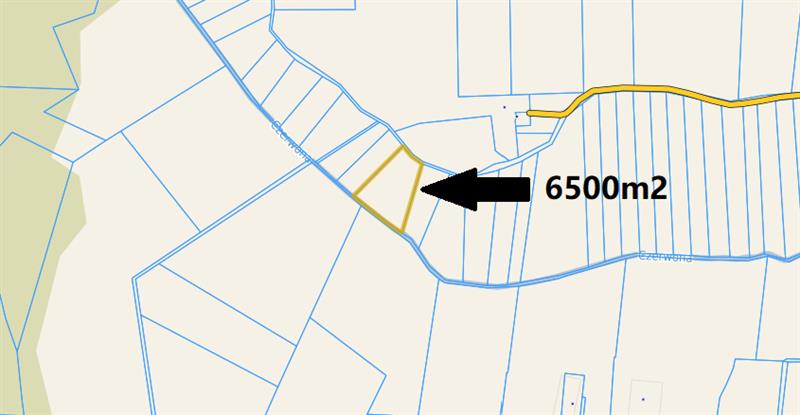 340 0 11451136 1 7 - Lista ofert