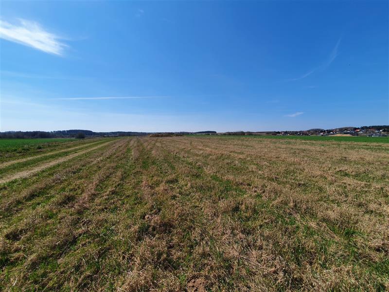 340 0 11679617 6 47 - Lista ofert