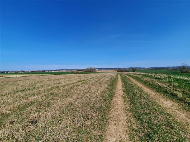 340 0 11679619 4 47 - Lista ofert