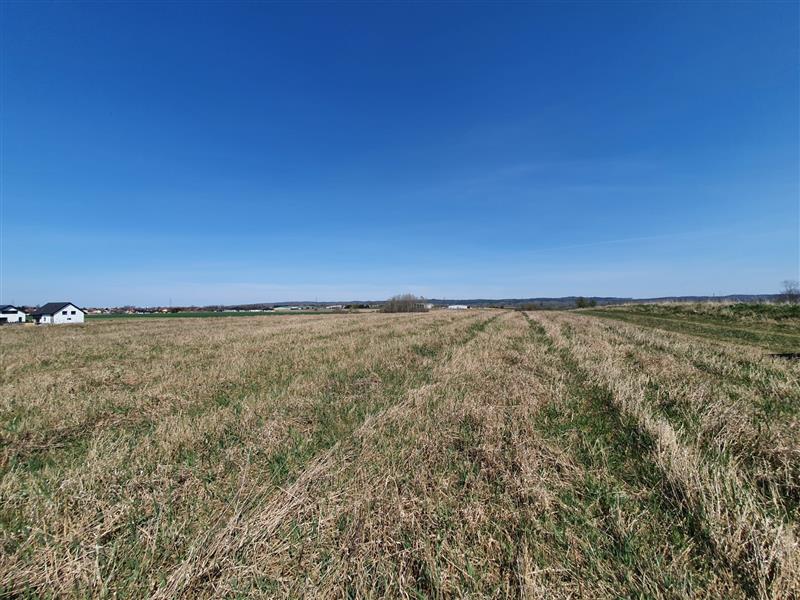 340 0 11679645 6 33 - Lista ofert