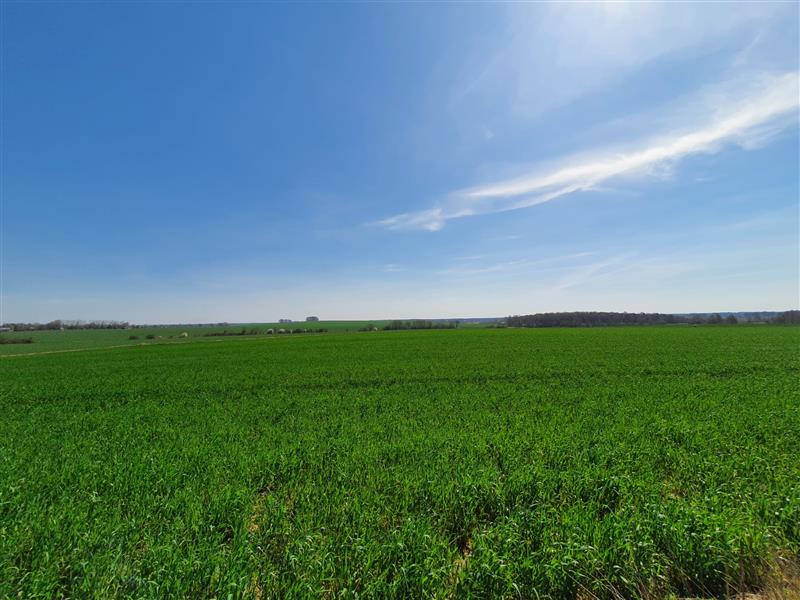 340 0 11679646 5 33 - Lista ofert