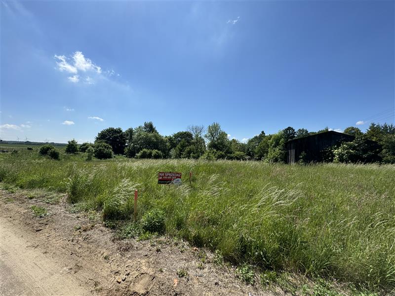 340 0 11969406 24 116 - Lista ofert