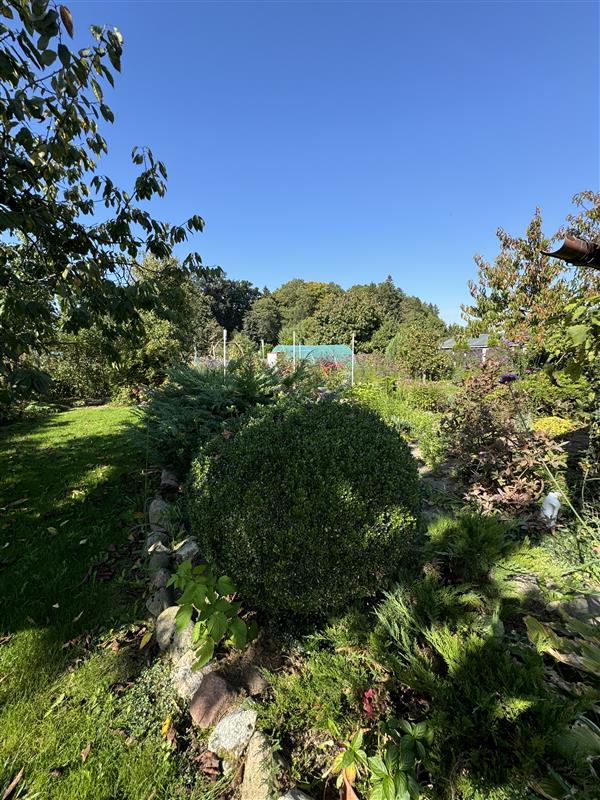 340 0 12059268 0 16 - Lista ofert