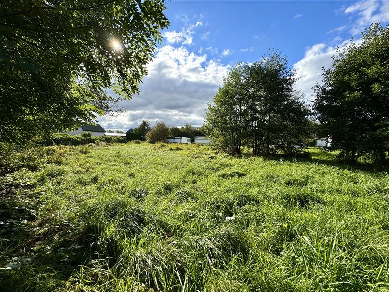 340 0 12065148 8 45 - Lista ofert