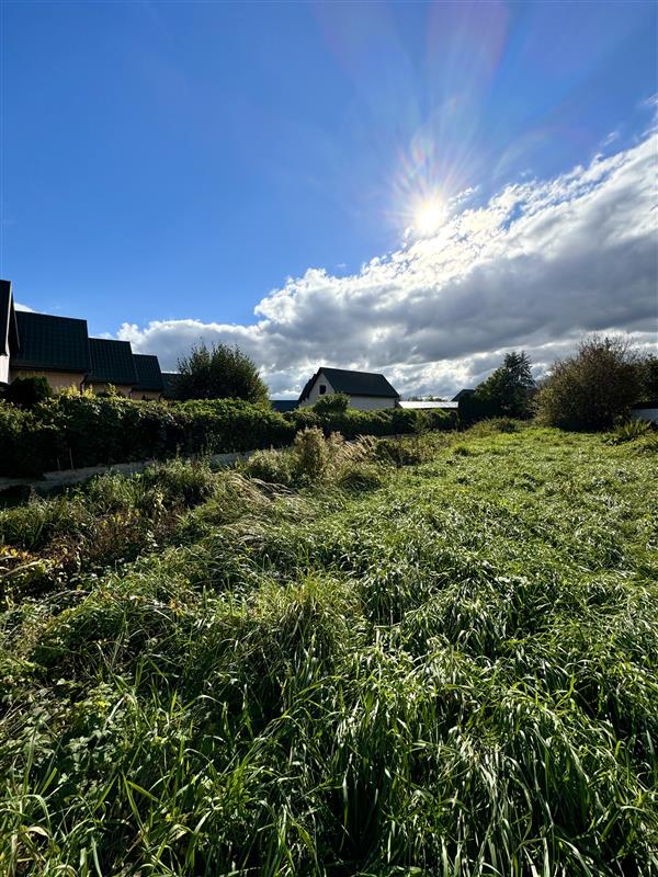 340 0 12065149 8 45 - Lista ofert