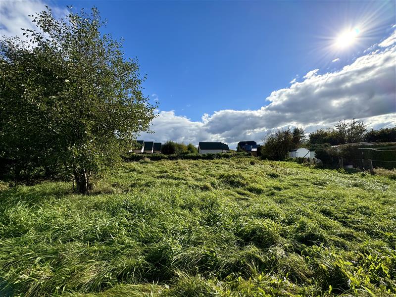 340 0 12065150 8 45 - Lista ofert