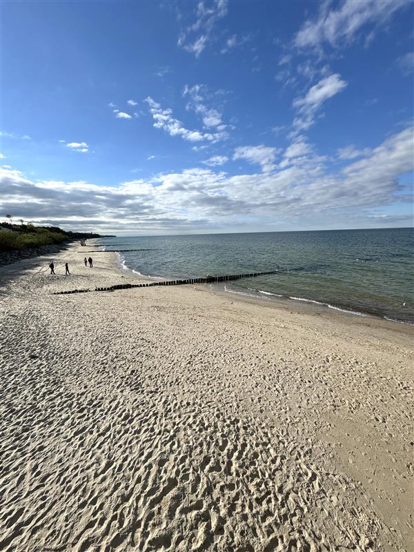 340 0 12065151 7 45 - Lista ofert