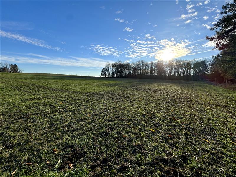 340 0 12103214 11 81 - Lista ofert