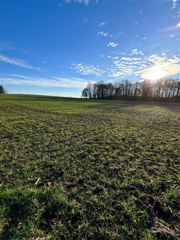 340 0 12103215 16 81 - Lista ofert