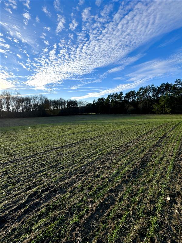 340 0 12103216 17 81 - Lista ofert