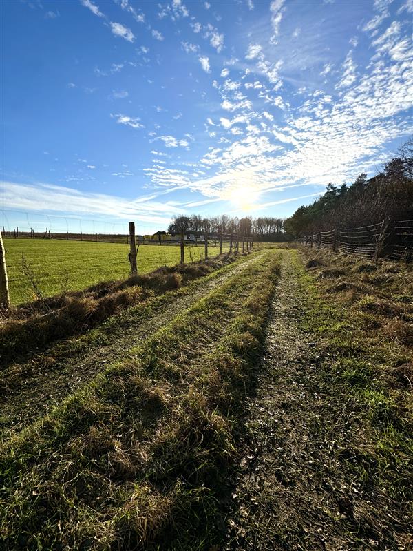 340 0 12103217 19 81 - Lista ofert