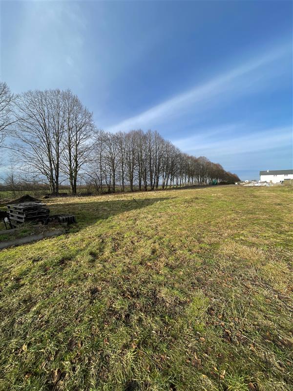 340 0 12137363 3 36 - Lista ofert