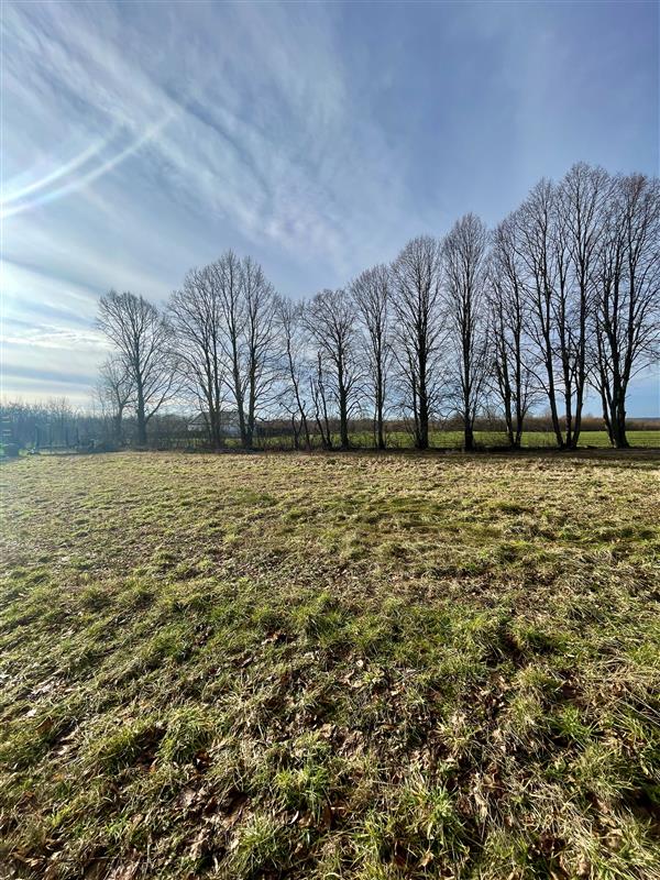 340 0 12137365 3 36 - Lista ofert