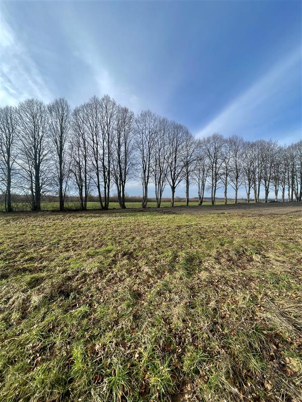 340 0 12137366 2 36 - Lista ofert