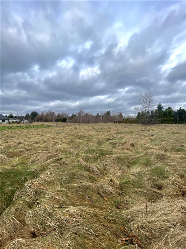 340 0 12140504 4 131 - Lista ofert