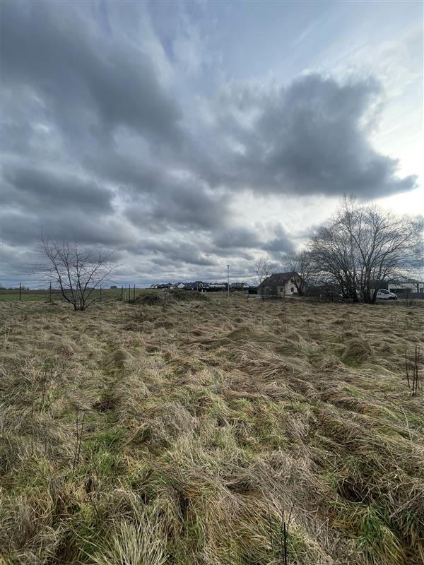 340 0 12140505 16 131 - Lista ofert