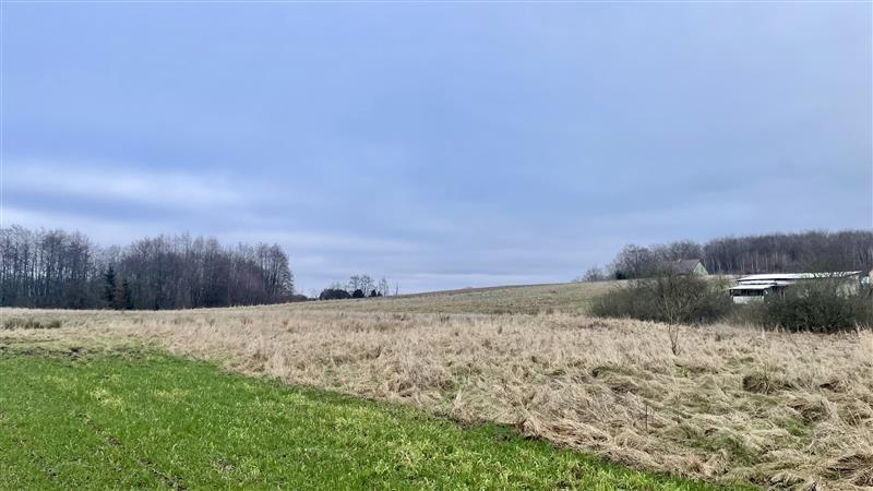 340 0 12144194 6 58 - Lista ofert