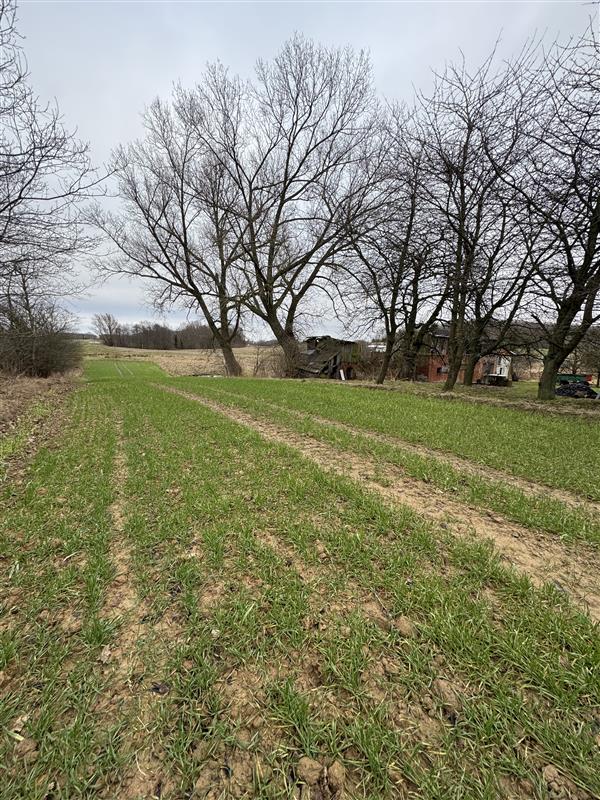 340 0 12144195 6 58 - Lista ofert