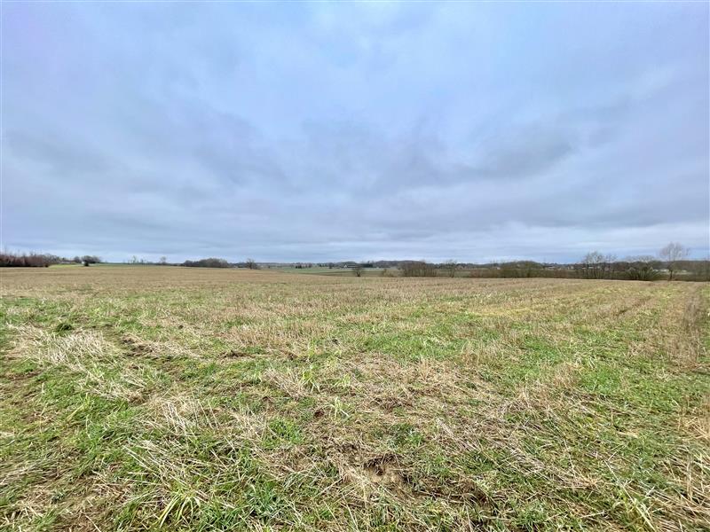 340 0 12144341 7 54 - Lista ofert