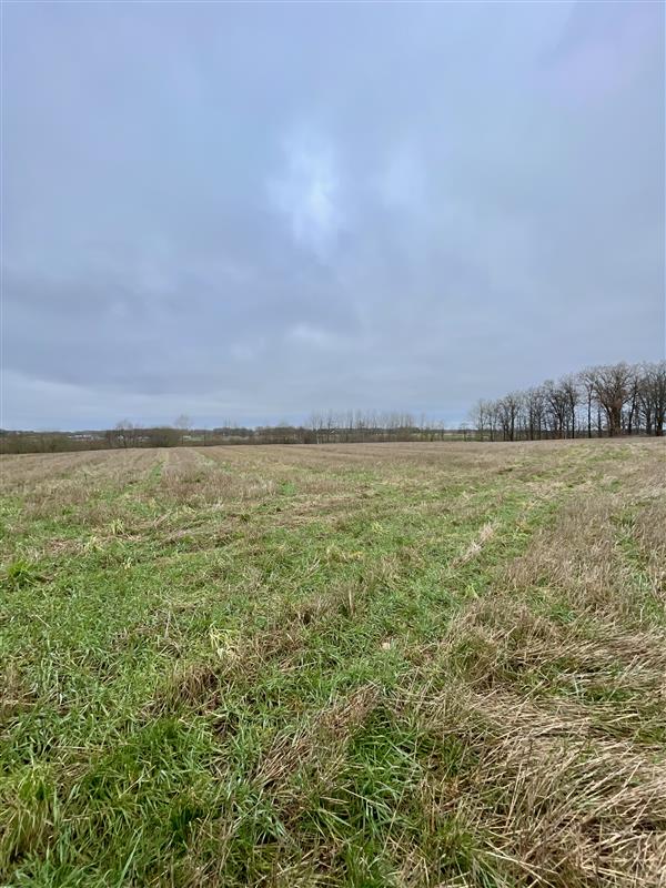 340 0 12144342 9 54 - Lista ofert