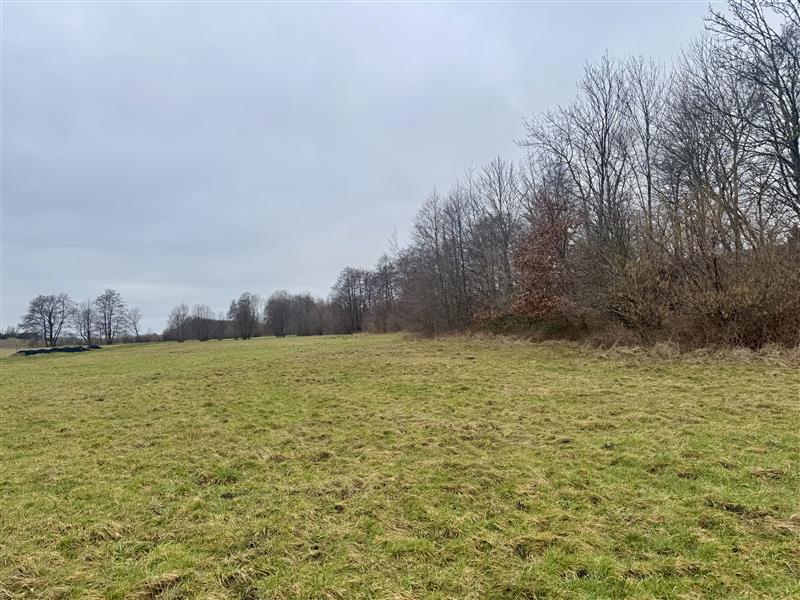 340 0 12144371 1 41 - Lista ofert