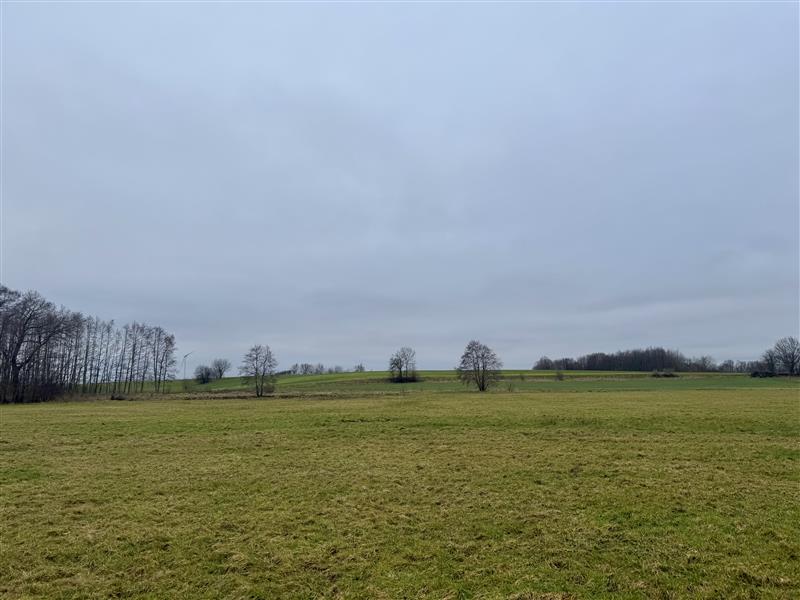 340 0 12144373 1 41 - Lista ofert