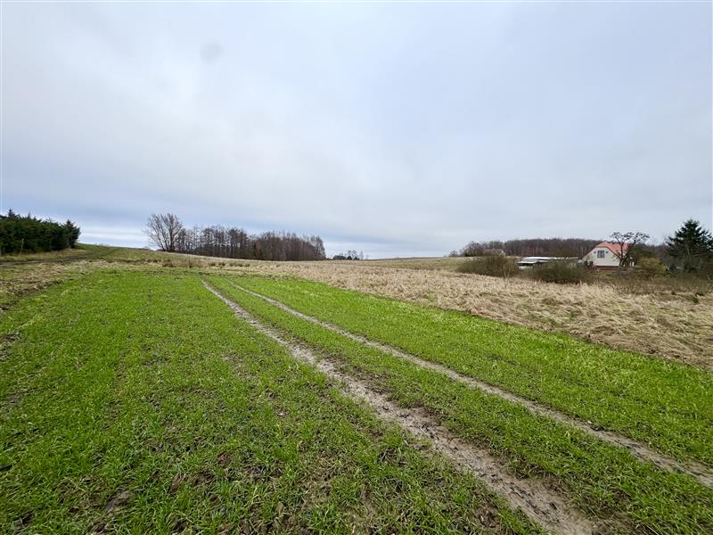 340 0 12144389 7 58 - Lista ofert