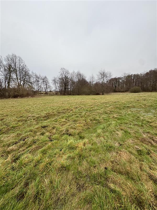 340 0 12144600 2 41 - Lista ofert