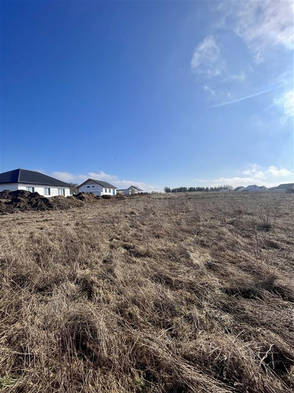 340 0 12158049 8 68 - Lista ofert