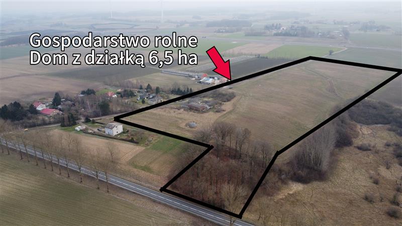 340 0 12160091 1 54 - Lista ofert