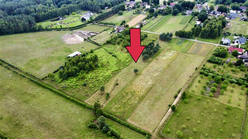 340 0 12267149 5 75 - Lista ofert